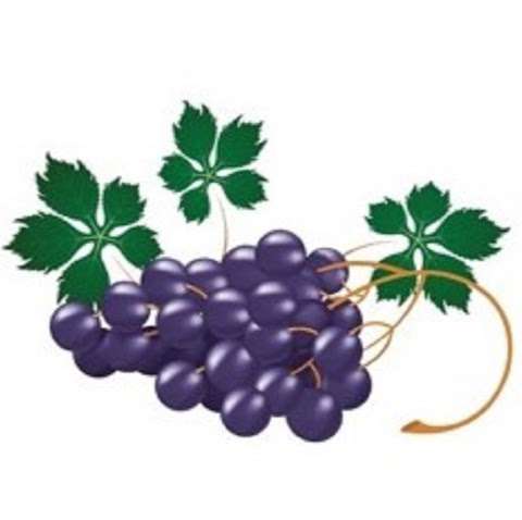 Jobs in Palmieri Wine & Spirits - reviews